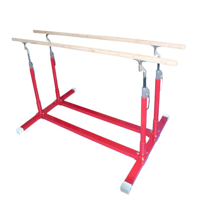 Palang Paralel Untuk Latihan D - Home Gym Design ulasan dan harga