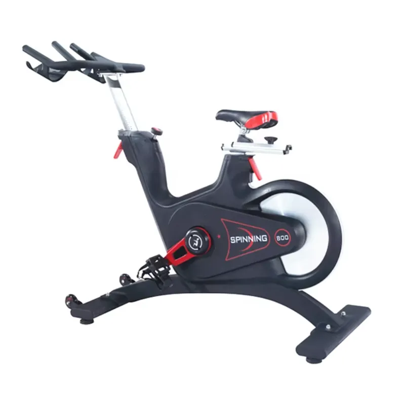 Sepeda Spinning Magnetik Profe - Home Gym Bike ulasan dan harga